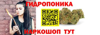 спайс Гусь-Хрустальный