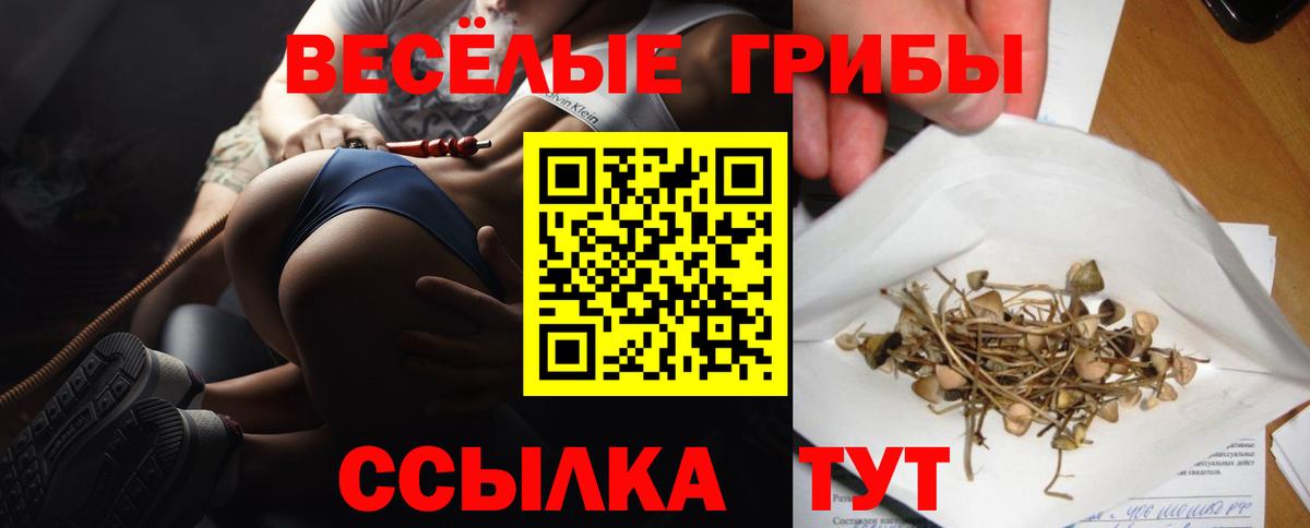 Галлюциногенные грибы мухоморы Отрадный